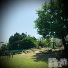 新潟デリヘル五十路マダム新潟店(カサブランカグループ)(イソジマダムニイガタテン) 浅見怜(49)の5月10日写メブログ「[お題]夏食5☆from:ひろあき。さん」