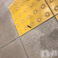 新潟デリヘル五十路マダム新潟店(カサブランカグループ)(イソジマダムニイガタテン) 浅見怜(49)の5月15日写メブログ「オケラいたぁ。。」