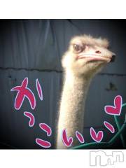 新潟デリヘル五十路マダム新潟店(カサブランカグループ)(イソジマダムニイガタテン) 浅見怜(49)の6月16日写メブログ「（06/22更新）しゅっきぃぃぃん☆」