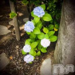 新潟デリヘル五十路マダム新潟店(カサブランカグループ)(イソジマダムニイガタテン) 浅見怜(49)の7月5日写メブログ「[お題]ツーショットぉfrom:花屋さん」