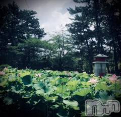 新潟デリヘル五十路マダム新潟店(カサブランカグループ)(イソジマダムニイガタテン) 浅見怜(49)の7月11日写メブログ「[お題]アレルギー。。from:しょうりゅうまいさん」