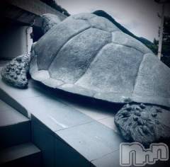 新潟デリヘル五十路マダム新潟店(カサブランカグループ)(イソジマダムニイガタテン) 浅見怜(49)の8月16日写メブログ「ミリオン。。」