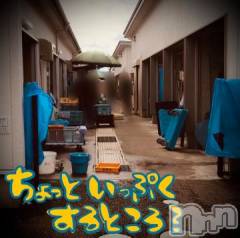 新潟デリヘル五十路マダム新潟店(カサブランカグループ)(イソジマダムニイガタテン) 浅見怜(49)の8月18日写メブログ「こんにちはにゃぁん☆」