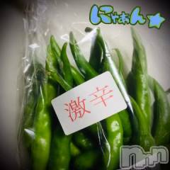 新潟デリヘル五十路マダム新潟店(カサブランカグループ)(イソジマダムニイガタテン) 浅見怜(49)の8月25日写メブログ「[お題]地味に。。from:金のエンゼルでたよさん」