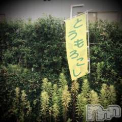 新潟デリヘル五十路マダム新潟店(カサブランカグループ)(イソジマダムニイガタテン) 浅見怜(49)の8月25日写メブログ「とうきび☆」