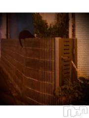 新潟デリヘル五十路マダム新潟店(カサブランカグループ)(イソジマダムニイガタテン) 浅見怜(49)の8月27日写メブログ「にゃぁんか、居るぅ☆」