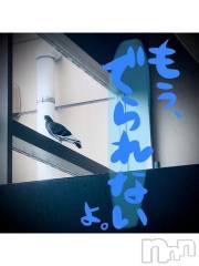 新潟デリヘル五十路マダム新潟店(カサブランカグループ)(イソジマダムニイガタテン) 浅見怜(49)の8月31日写メブログ「どぅしてぇ？？」