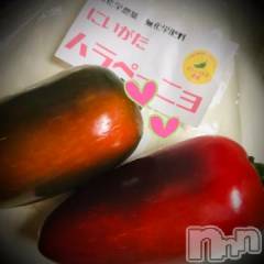 新潟デリヘル五十路マダム新潟店(カサブランカグループ)(イソジマダムニイガタテン) 浅見怜(49)の8月31日写メブログ「追熟？！」