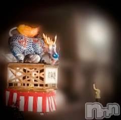 新潟デリヘル五十路マダム新潟店(カサブランカグループ)(イソジマダムニイガタテン) 浅見怜(49)の9月14日写メブログ「灯籠を撮る少年☆」