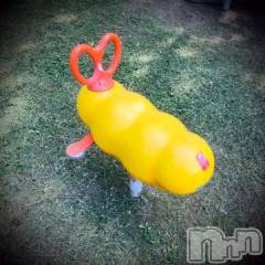 新潟デリヘル五十路マダム新潟店(カサブランカグループ)(イソジマダムニイガタテン) 浅見怜(49)の9月14日写メブログ「コレ、なぁんだぁ？？」