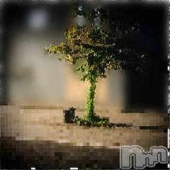 新潟デリヘル五十路マダム新潟店(カサブランカグループ)(イソジマダムニイガタテン) 浅見怜(49)の9月19日写メブログ「[お題]いませぇん。。from:長生きしてやさん」