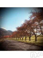 新潟デリヘル五十路マダム新潟店(カサブランカグループ)(イソジマダムニイガタテン) 浅見怜(49)の11月8日写メブログ「茶色ぃ並木。。」