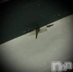 新潟デリヘル五十路マダム新潟店(カサブランカグループ)(イソジマダムニイガタテン) 浅見怜(49)の11月8日写メブログ「凍える。。。」