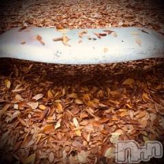 新潟デリヘル五十路マダム新潟店(カサブランカグループ)(イソジマダムニイガタテン) 浅見怜(49)の11月17日写メブログ「ハゲ坊主。。☆」