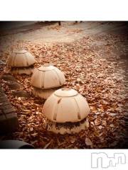 新潟デリヘル五十路マダム新潟店(カサブランカグループ)(イソジマダムニイガタテン) 浅見怜(49)の11月20日写メブログ「いす？？」