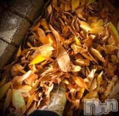 新潟デリヘル五十路マダム新潟店(カサブランカグループ)(イソジマダムニイガタテン) 浅見怜(49)の11月20日写メブログ「うもれる。。」