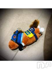 新潟デリヘル五十路マダム新潟店(カサブランカグループ)(イソジマダムニイガタテン) 浅見怜(49)の11月21日写メブログ「すごぃ個室2☆」