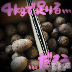 新潟デリヘル五十路マダム新潟店(カサブランカグループ)(イソジマダムニイガタテン) 浅見怜(49)の12月31日写メブログ「佳境。。」