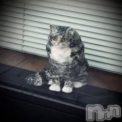 新潟デリヘル五十路マダム新潟店(カサブランカグループ)(イソジマダムニイガタテン) 浅見怜(49)の1月6日写メブログ「[お題]減らなぃ餅。。from:雑煮はもういいさん」