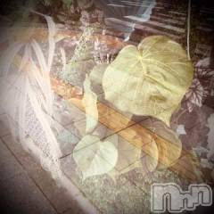 新潟デリヘル五十路マダム新潟店(カサブランカグループ)(イソジマダムニイガタテン) 浅見怜(49)の1月19日写メブログ「ぽかぽかぁ？」