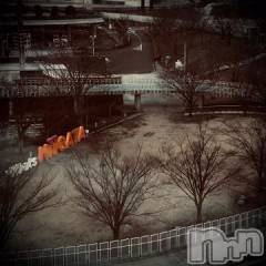 新潟デリヘル五十路マダム新潟店(カサブランカグループ)(イソジマダムニイガタテン) 浅見怜(49)の2月26日写メブログ「雪降る街。。的な。。」