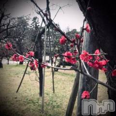 新潟デリヘル五十路マダム新潟店(カサブランカグループ)(イソジマダムニイガタテン) 浅見怜(49)の3月3日写メブログ「開花☆」