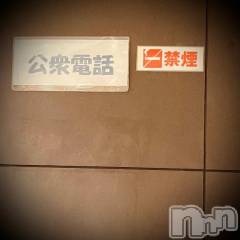 新潟デリヘル五十路マダム新潟店(カサブランカグループ)(イソジマダムニイガタテン) 浅見怜(49)の2月15日写メブログ「公衆電話、って。。」