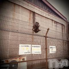 新潟デリヘル五十路マダム新潟店(カサブランカグループ)(イソジマダムニイガタテン) 浅見怜(49)の2月23日写メブログ「裏みち。。」