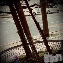 新潟デリヘル五十路マダム新潟店(カサブランカグループ)(イソジマダムニイガタテン) 浅見怜(49)の3月27日写メブログ「オシノコ。。」