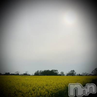 新潟デリヘル 五十路マダム新潟店(カサブランカグループ)(イソジマダムニイガタテン) 浅見怜(49)の4月23日写メブログ「直近の出勤予定だょぉ☆」