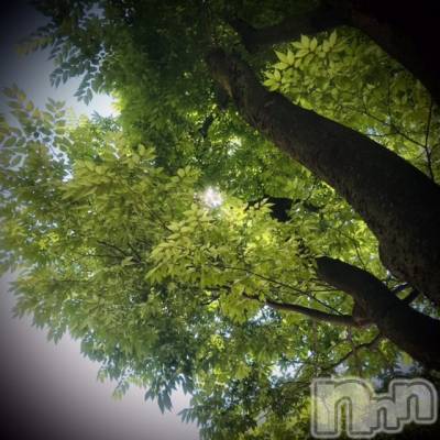 新潟デリヘル 五十路マダム新潟店(カサブランカグループ)(イソジマダムニイガタテン) 浅見怜(49)の5月23日写メブログ「あちゅぃじゃん！！」