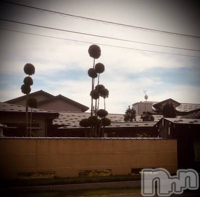 新潟デリヘル 五十路マダム新潟店(カサブランカグループ)(イソジマダムニイガタテン) 浅見怜(49)の9月26日写メブログ「直近の出勤予定でぇす♪」