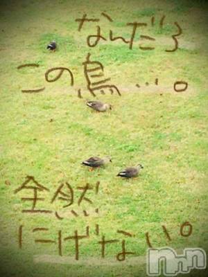 新潟デリヘル 五十路マダム新潟店(カサブランカグループ)(イソジマダムニイガタテン) 浅見怜(49)の11月3日写メブログ「おやつの時間にちはぁ。」