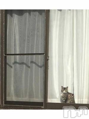 新潟デリヘル 五十路マダム新潟店(カサブランカグループ)(イソジマダムニイガタテン) 浅見怜(49)の11月9日写メブログ「ねこ。」