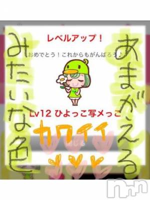 新潟デリヘル 五十路マダム新潟店(カサブランカグループ)(イソジマダムニイガタテン) 浅見怜(49)の11月10日写メブログ「[お題]from:プーさん林家さん」