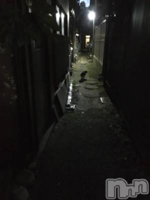 新潟デリヘル 五十路マダム新潟店(カサブランカグループ)(イソジマダムニイガタテン) 浅見怜(49)の11月14日写メブログ「[お題]from:みっくんくんさん」