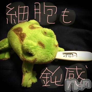 新潟デリヘル 五十路マダム新潟店(カサブランカグループ)(イソジマダムニイガタテン) 浅見怜(49)の11月15日写メブログ「うぇぇん。。」