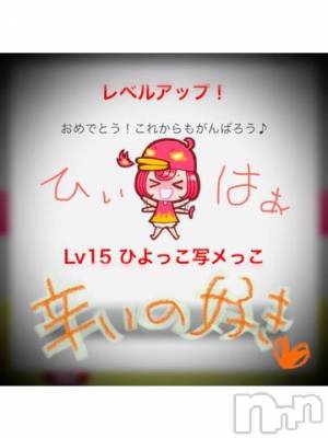 新潟デリヘル 五十路マダム新潟店(カサブランカグループ)(イソジマダムニイガタテン) 浅見怜(49)の11月15日写メブログ「お昼ご飯、何食べょぅ。。」