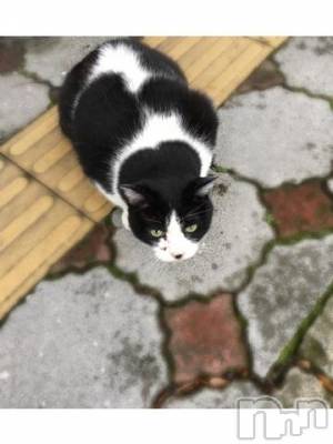 新潟デリヘル 五十路マダム新潟店(カサブランカグループ)(イソジマダムニイガタテン) 浅見怜(49)の11月19日写メブログ「次の出勤は。。」