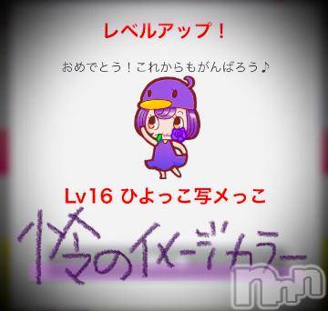 新潟デリヘル 五十路マダム新潟店(カサブランカグループ)(イソジマダムニイガタテン) 浅見怜(49)の11月19日写メブログ「みたょ、ありがとぅ！」