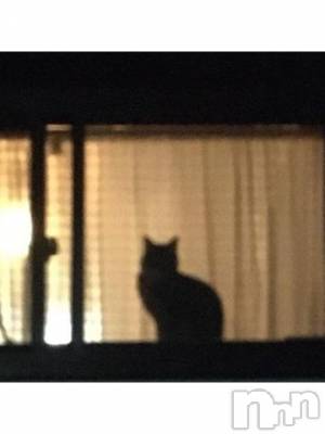 新潟デリヘル 五十路マダム新潟店(カサブランカグループ)(イソジマダムニイガタテン) 浅見怜(49)の11月20日写メブログ「[お題]from:猿馬さん」