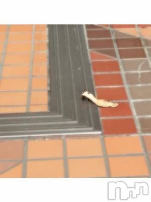 新潟デリヘル 五十路マダム新潟店(カサブランカグループ)(イソジマダムニイガタテン) 浅見怜(49)の11月21日写メブログ「いつも思うけど。。」