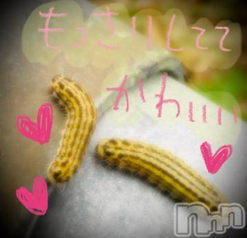 新潟デリヘル 五十路マダム新潟店(カサブランカグループ)(イソジマダムニイガタテン) 浅見怜(49)の11月22日写メブログ「虫嫌いな人、ゴメンねぇ。。」