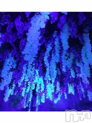 新潟デリヘル 五十路マダム新潟店(カサブランカグループ)(イソジマダムニイガタテン) 浅見怜(49)の11月23日写メブログ「[お題]from:石油Jさん」