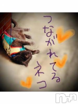 新潟デリヘル 五十路マダム新潟店(カサブランカグループ)(イソジマダムニイガタテン) 浅見怜(49)の11月27日写メブログ「じたばたぁ。。」