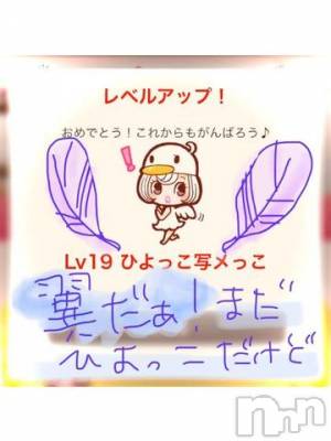 新潟デリヘル 五十路マダム新潟店(カサブランカグループ)(イソジマダムニイガタテン) 浅見怜(49)の11月28日写メブログ「[お題]from:のこっちさん」