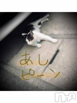 新潟デリヘル 五十路マダム新潟店(カサブランカグループ)(イソジマダムニイガタテン) 浅見怜(49)の11月28日写メブログ「ピーン！」