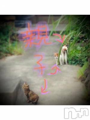 新潟デリヘル 五十路マダム新潟店(カサブランカグループ)(イソジマダムニイガタテン) 浅見怜(49)の11月30日写メブログ「パパはぁ？？」