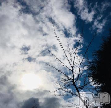 新潟デリヘル 五十路マダム新潟店(カサブランカグループ)(イソジマダムニイガタテン) 浅見怜(49)の12月2日写メブログ「[お題]from:音んさん」