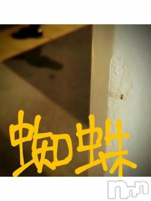 新潟デリヘル 五十路マダム新潟店(カサブランカグループ)(イソジマダムニイガタテン) 浅見怜(49)の12月10日写メブログ「くもって。。」